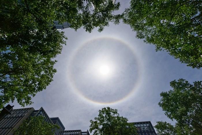 上海天空现巨大日晕 光圈完整清晰