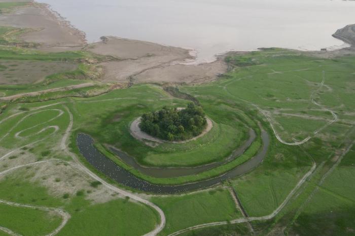河南黄河三门峡库区现“生态草原”景观